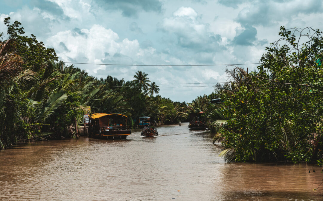 Escapade à Ben Tre, terre des cocotiers