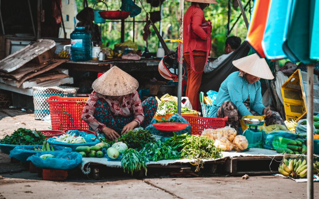 Can Tho : Immersion au coeur du delta du Mékong