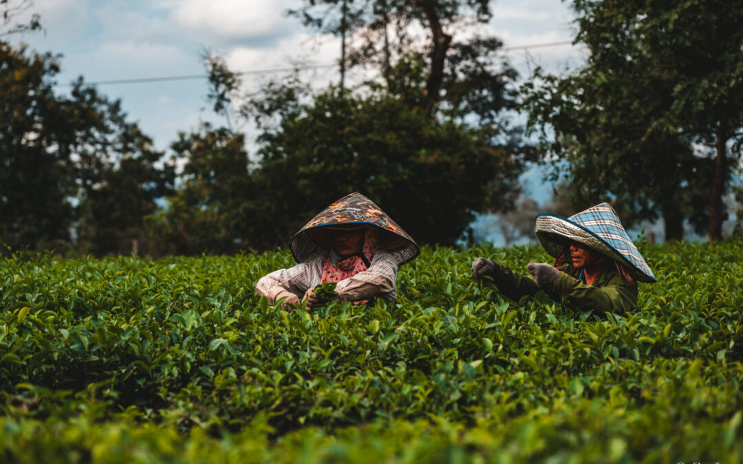 Hors des sentiers battus dans les Hauts Plateaux