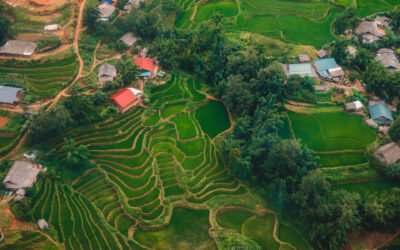 Visiter Sapa au Vietnam : mon expérience dans les montagnes du nord