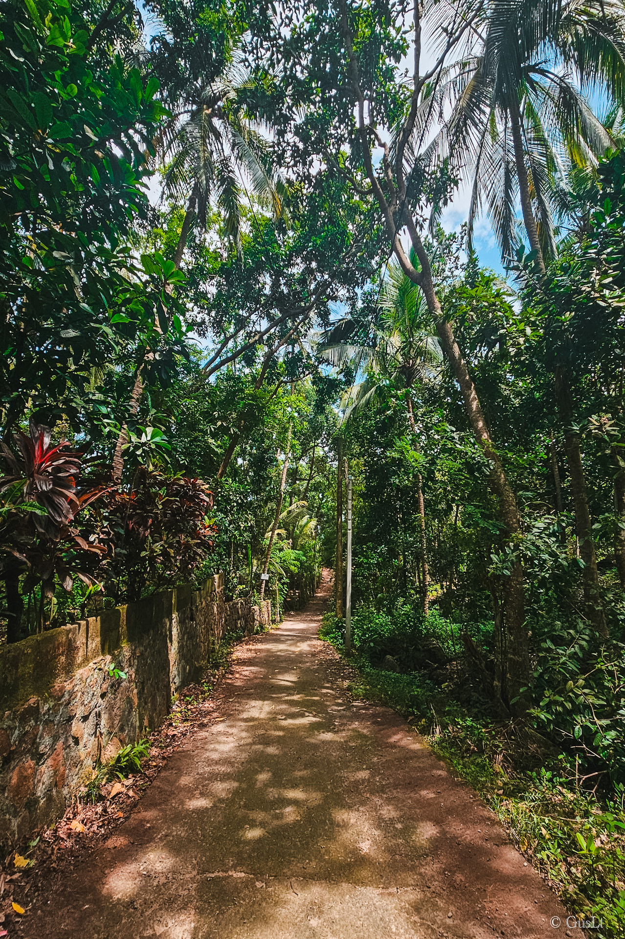 Jungle beach road, Unawatuna