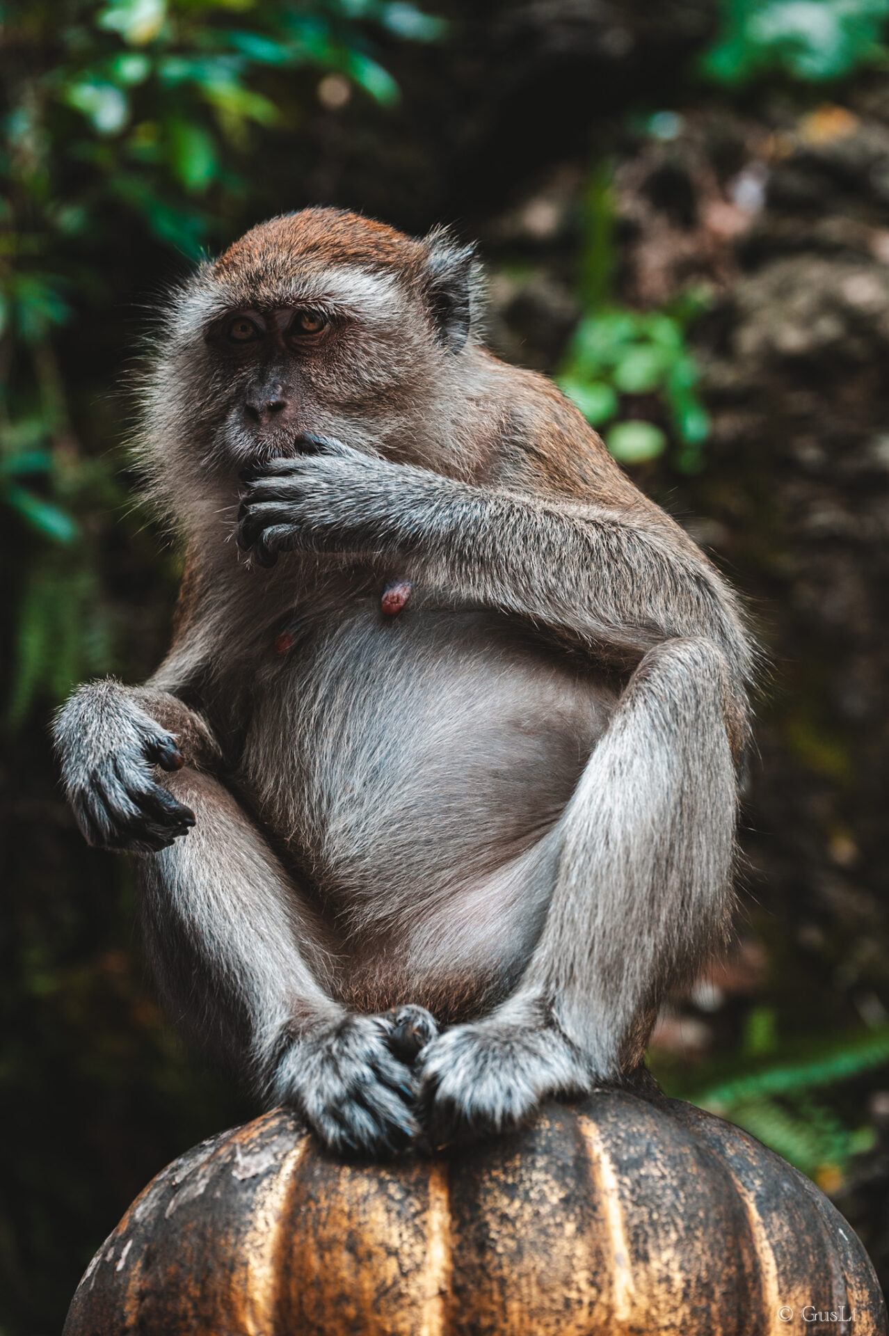 Batu caves, Kuala Lumpur