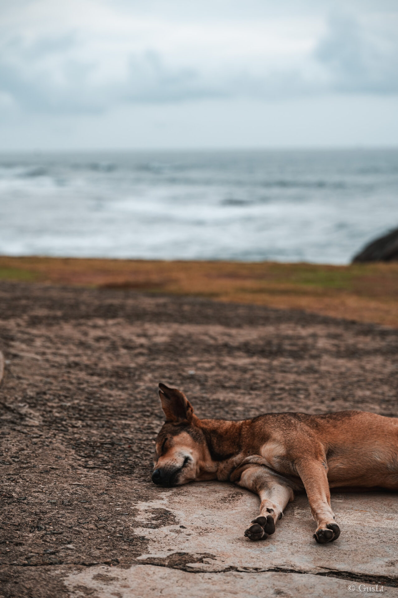 Fort de Galle, Sri Lanka