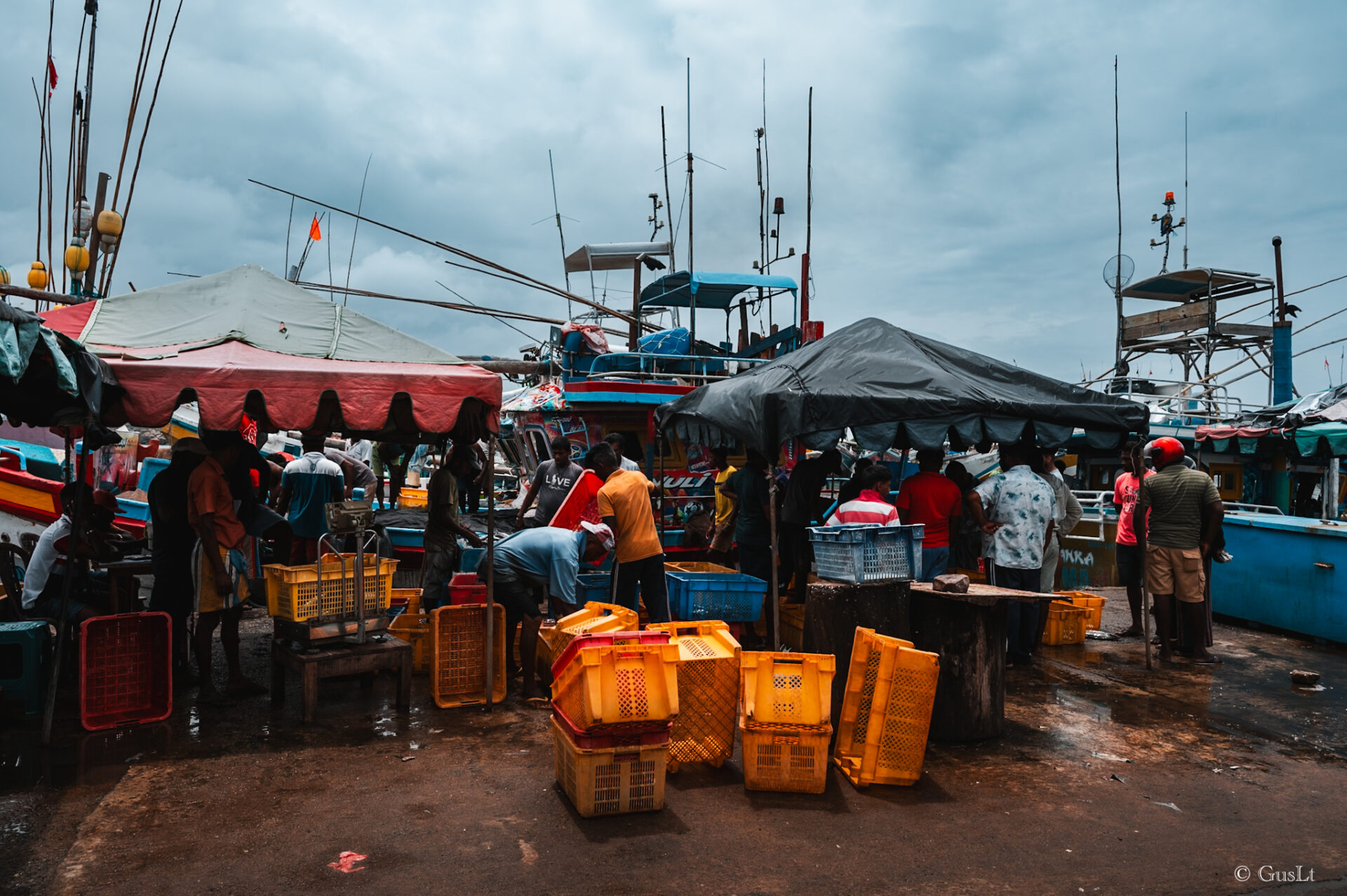 Fish market, Tangalle