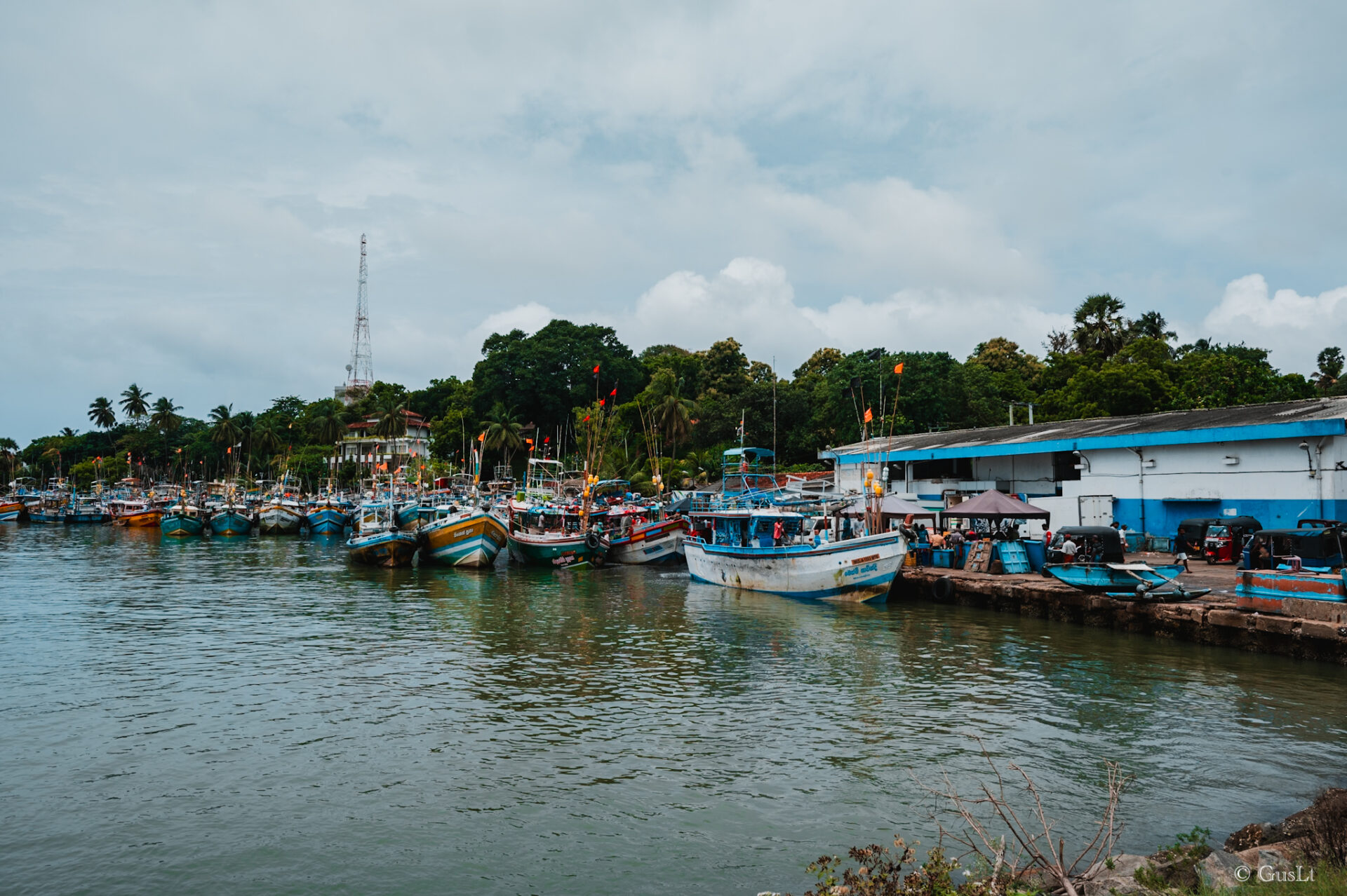 Fish market, Tangalle