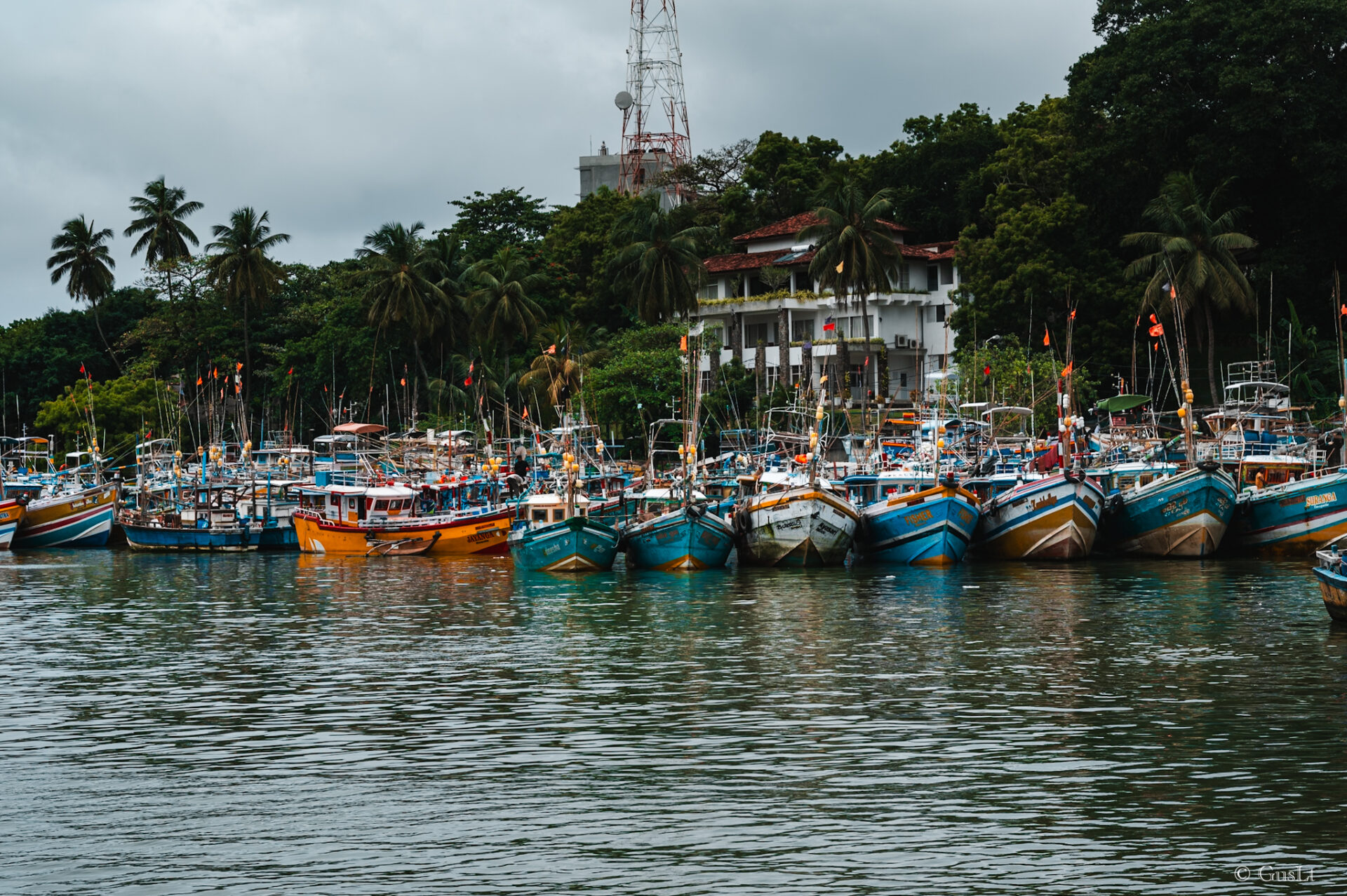 Fish market, Tangalle