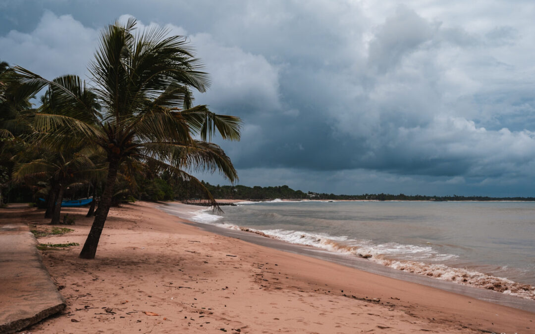 Zoom sur les plages du sud du Sri Lanka