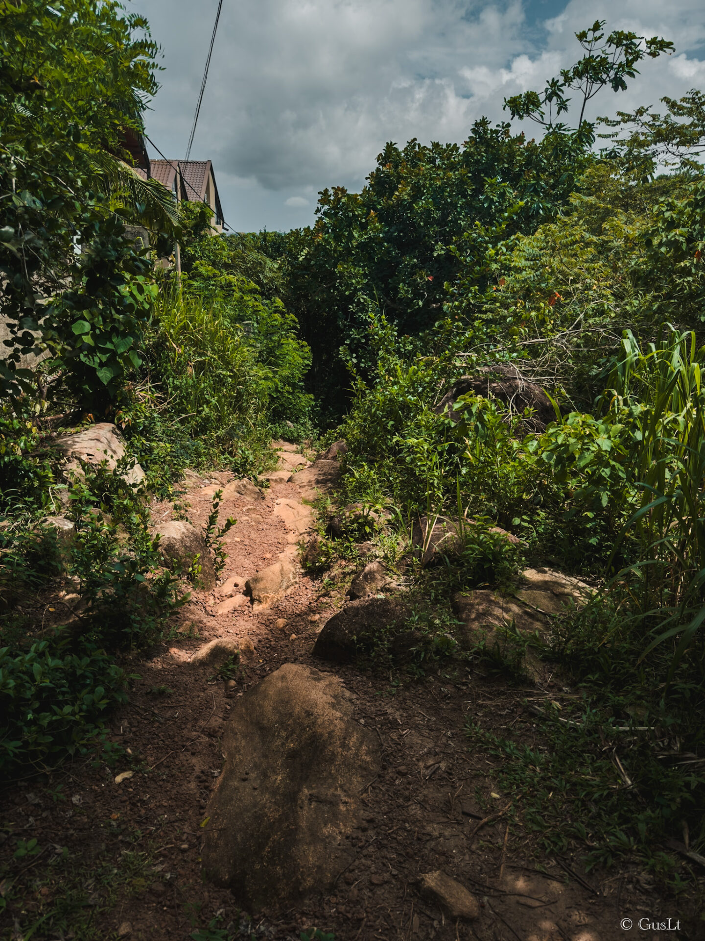 Jungle beach road, Unawatuna