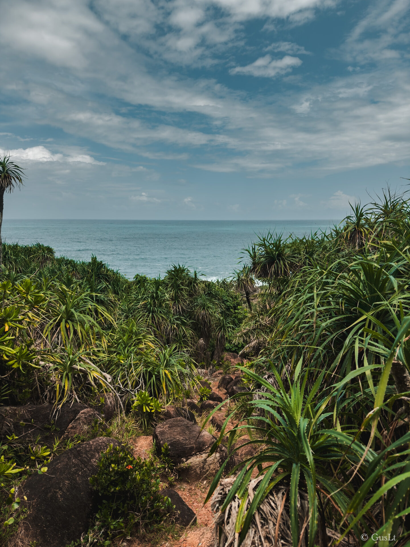 Jungle beach road, Unawatuna