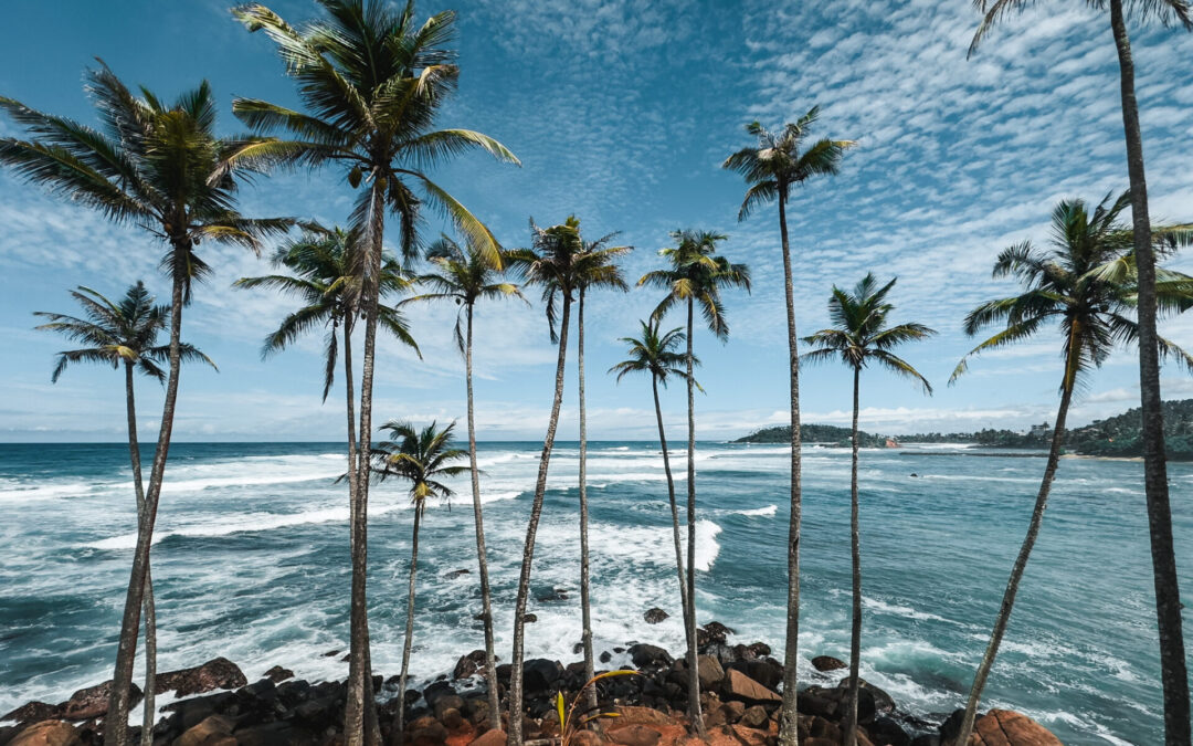 Zoom sur les plages du sud du Sri Lanka