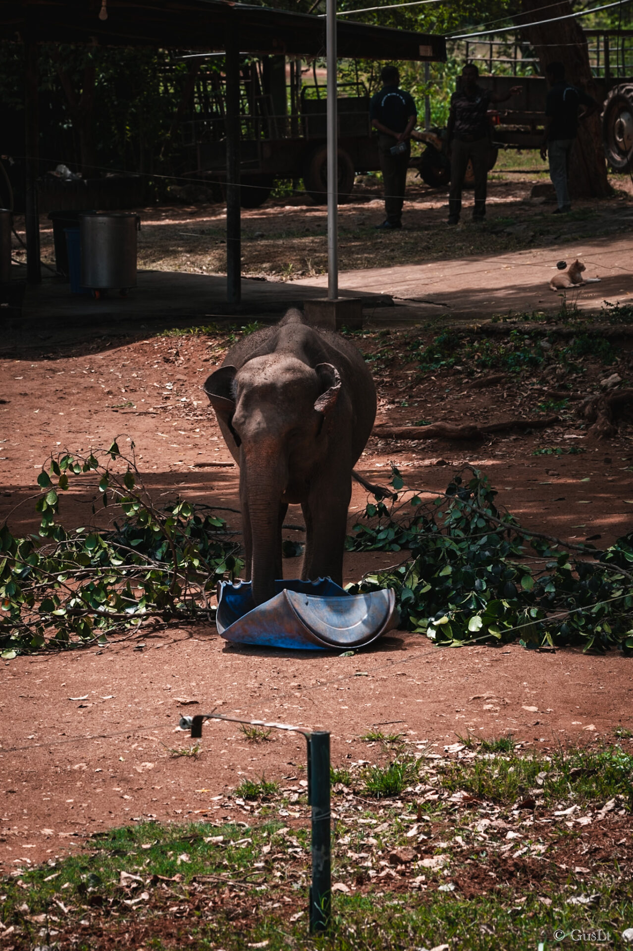 Elephant transit home, Udawalawe, Sri Lanka