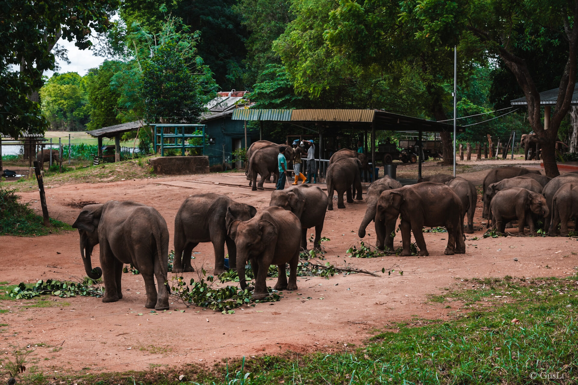 Elephant transit home, Udawalawe, Sri Lanka