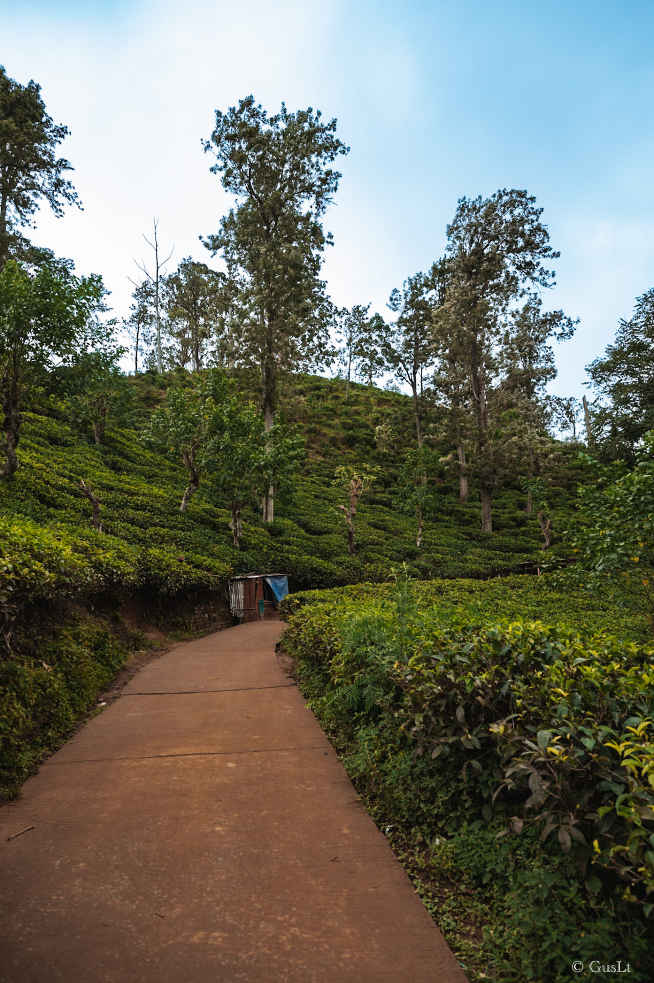 Little Adams peak, Ella, Sri Lanka