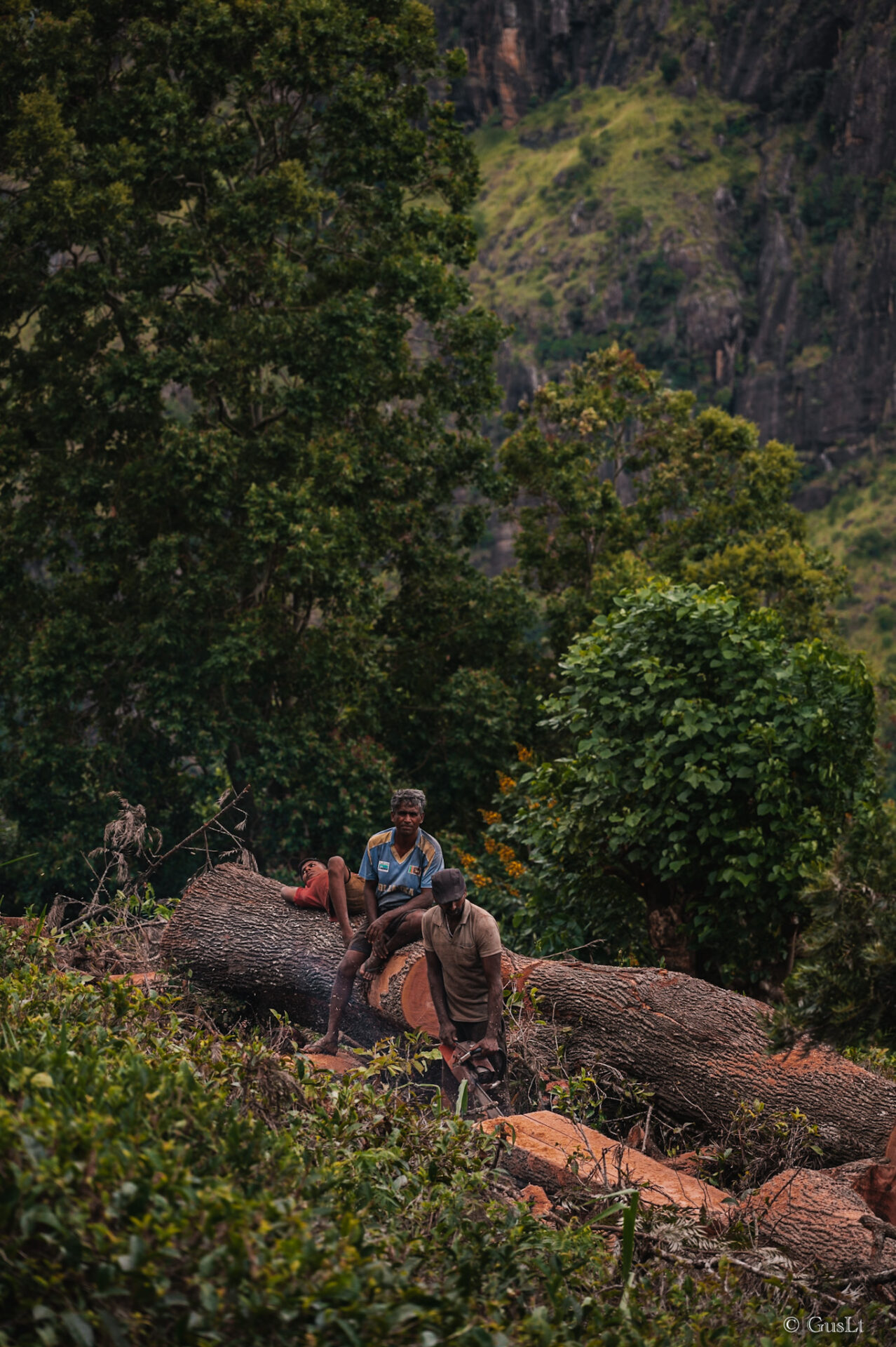 Little Adams peak, Ella, Sri Lanka