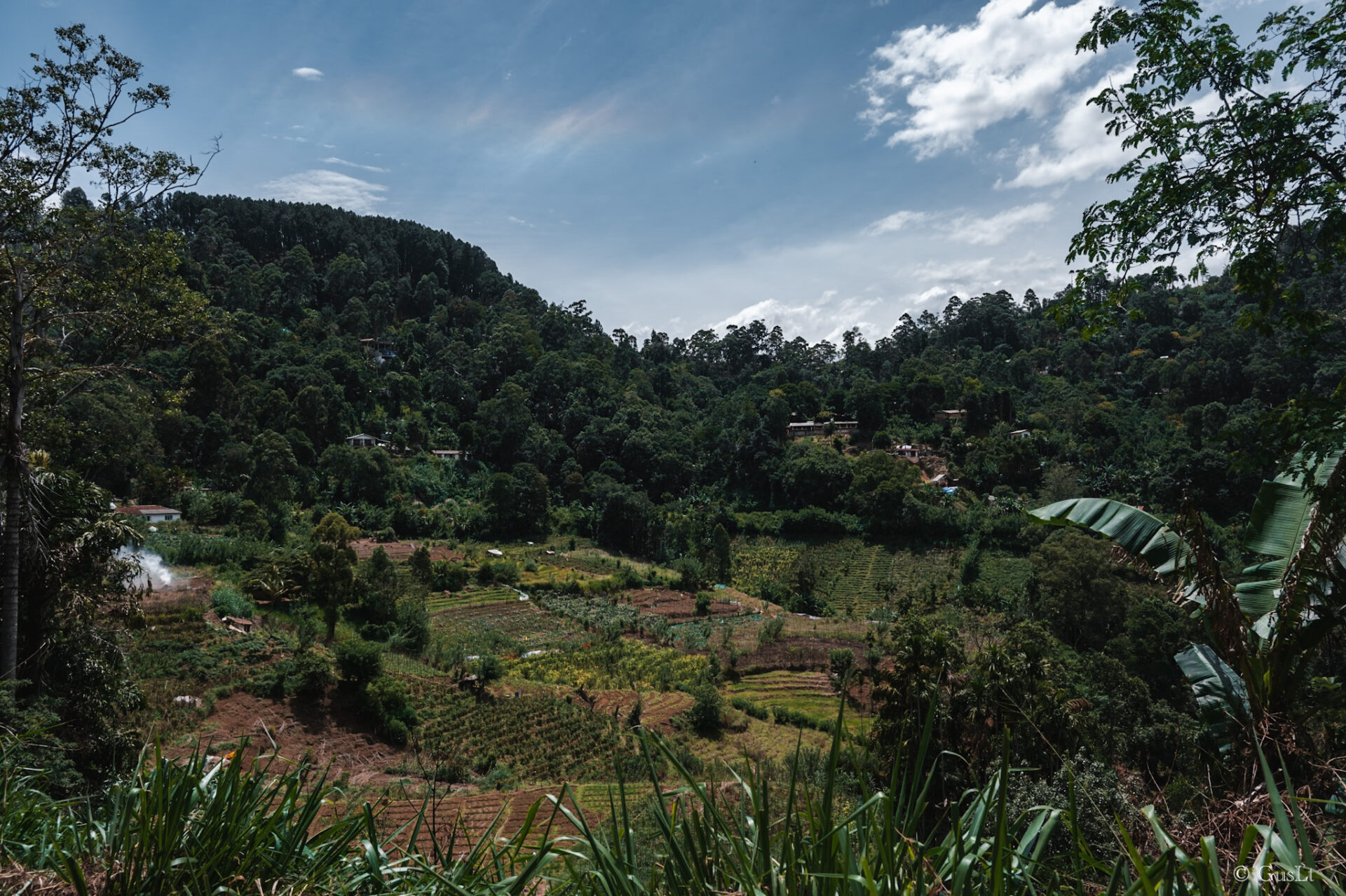 Ella rock, Sri Lanka