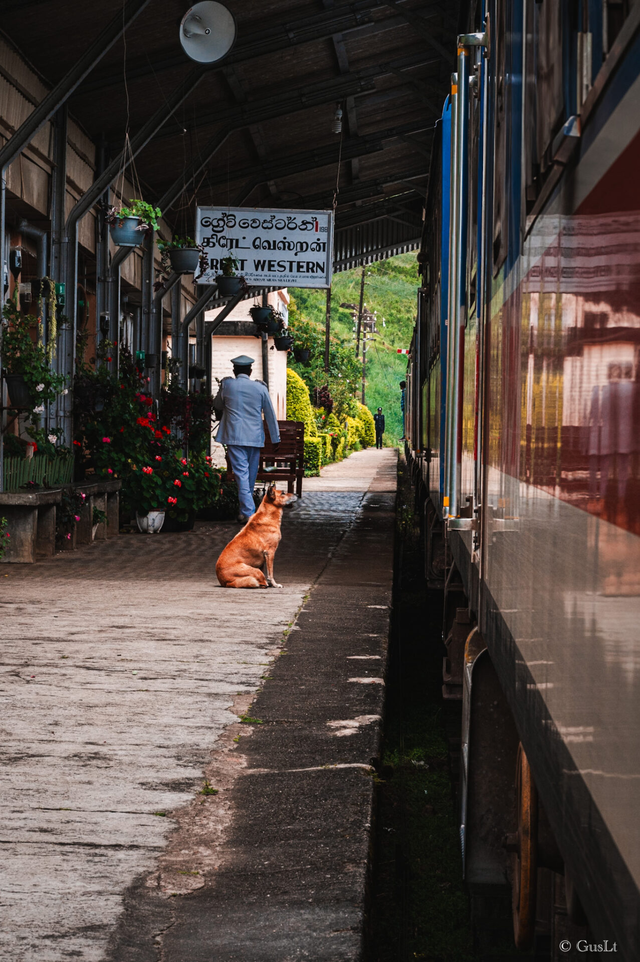 Train Ella vers Kandy, Sri Lanka