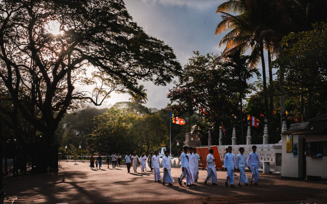 Le triangle culturel, un incontournable ?