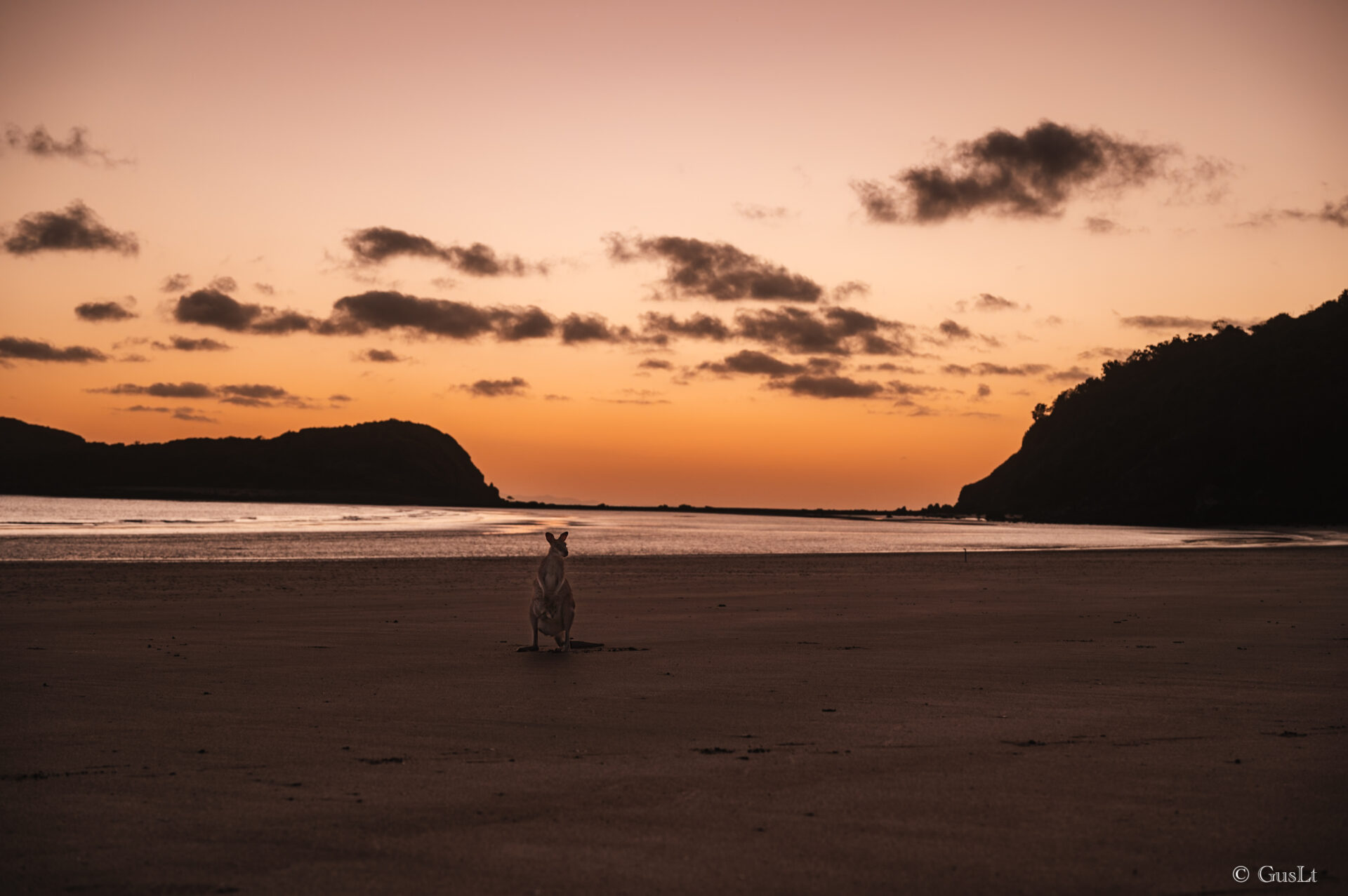 Cape Hillsborough National Park, Queensland, Australie