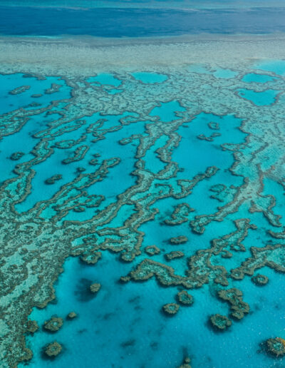 Great Barrier Reef, Queensland, Australie