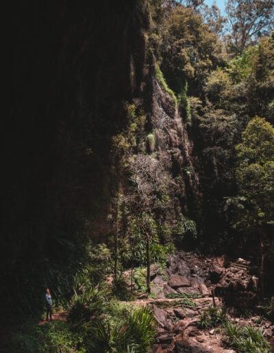 Springbrook National Park, Queensland, Australie