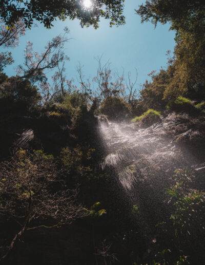 Springbrook National Park, Queensland, Australie