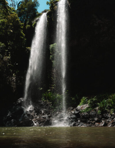 Springbrook National Park, Queensland, Australie