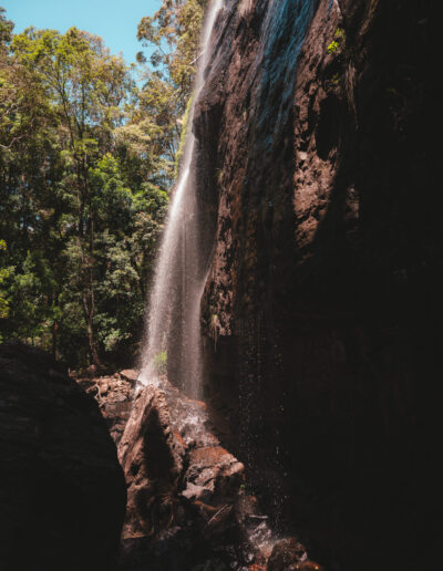 Springbrook National Park, Queensland, Australie