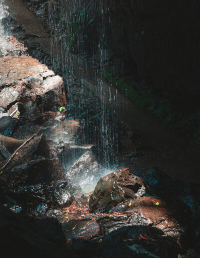 Springbrook National Park, Queensland, Australie