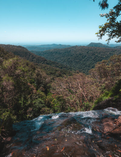 Springbrook National Park, Queensland, Australie