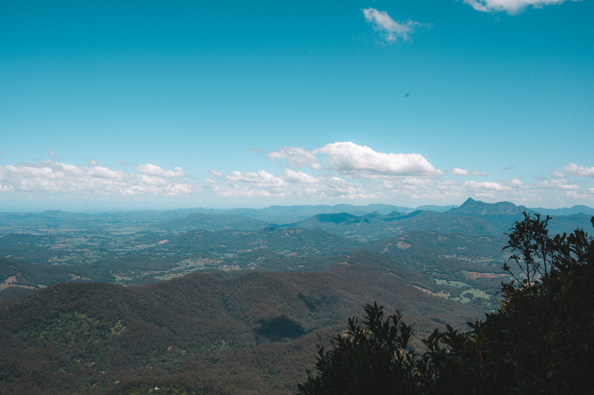 Springbrook National Park, Queensland, Australie