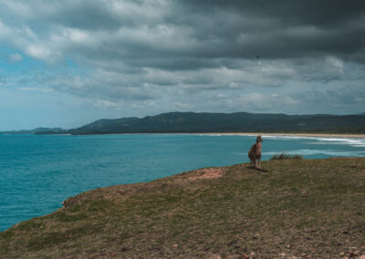 Look at me now headlands, Coffs Harbour, NSW, Australia