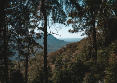 Wonga walk, waterfall way, NSW, Australia