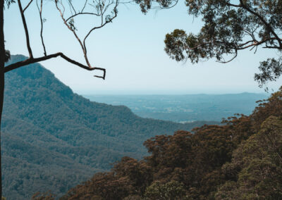 Wonga walk, waterfall way, NSW, Australia