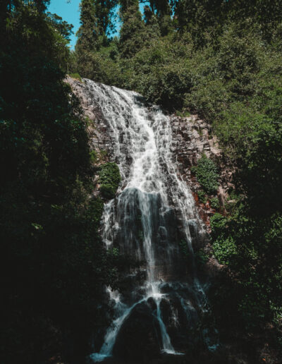 Wonga walk, waterfall way, NSW, Australia