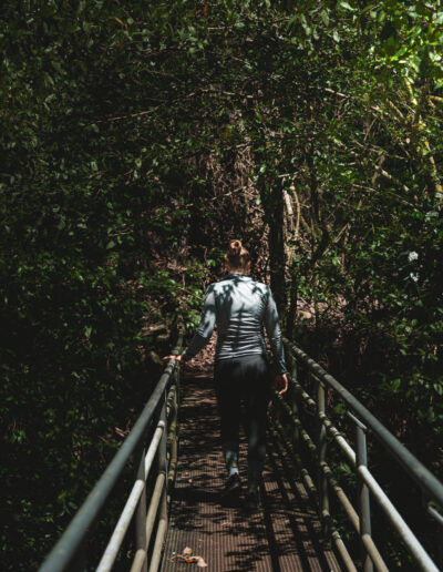 Wonga walk, waterfall way, NSW, Australia