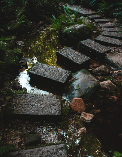 Blue mountains, Canyon Walk, NSW, Australia