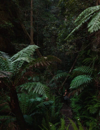 Blue mountains, Canyon Walk, NSW, Australia