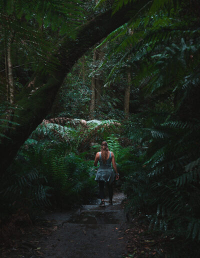 Blue mountains, Canyon Walk, NSW, Australia