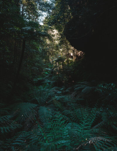 Blue mountains, Canyon Walk, NSW, Australia