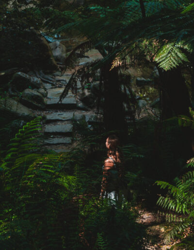 Blue mountains, Canyon Walk, NSW, Australia