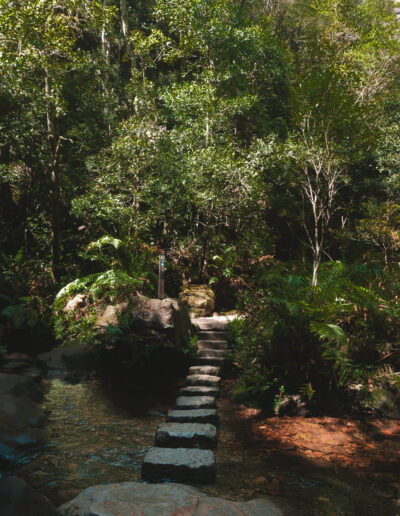 Blue mountains, Canyon Walk, NSW, Australia