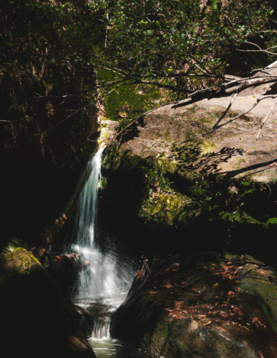 Blue mountains, Canyon Walk, NSW, Australia