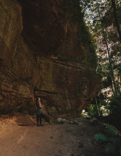 Blue mountains, Canyon Walk, NSW, Australia