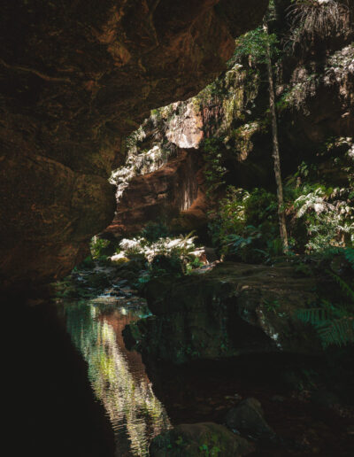 Blue mountains, Canyon Walk, NSW, Australia