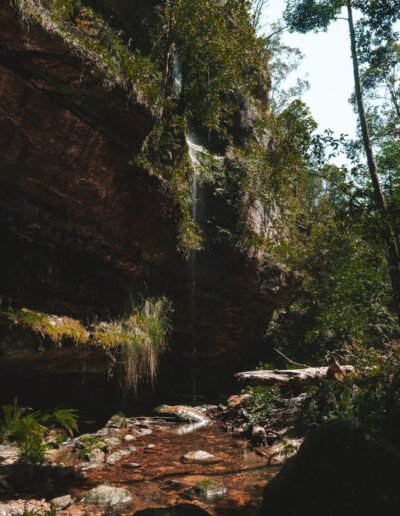 Blue mountains, Canyon Walk, NSW, Australia