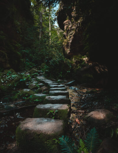 Blue mountains, Canyon Walk, NSW, Australia