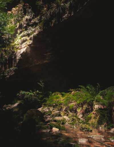 Blue mountains, Canyon Walk, NSW, Australia