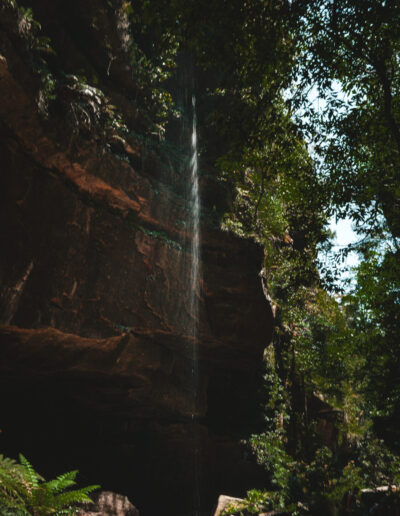 Blue mountains, Canyon Walk, NSW, Australia