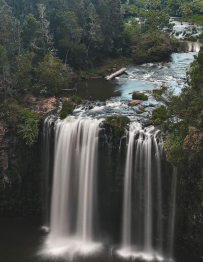 Dangar falls, waterfall way, NSW, Australia