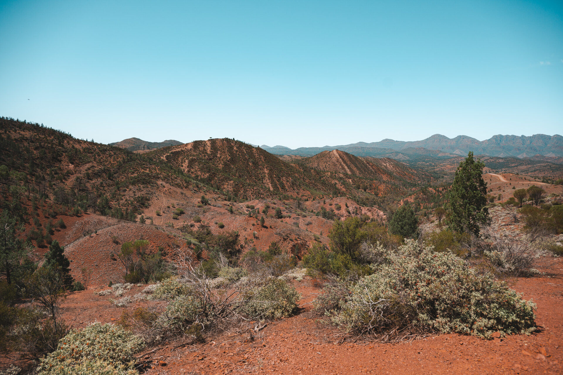 Flinders Ranges, SA, Australia